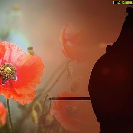 Joanne Froggatt Instagram - #lestweforgetš¹