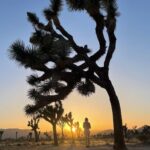 Joanne Froggatt Instagram – A little while ago…Joshua Tree❤️
#tbt