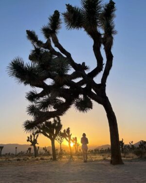 Joanne Froggatt Instagram - A little while ago…Joshua Tree❤️
#tbt