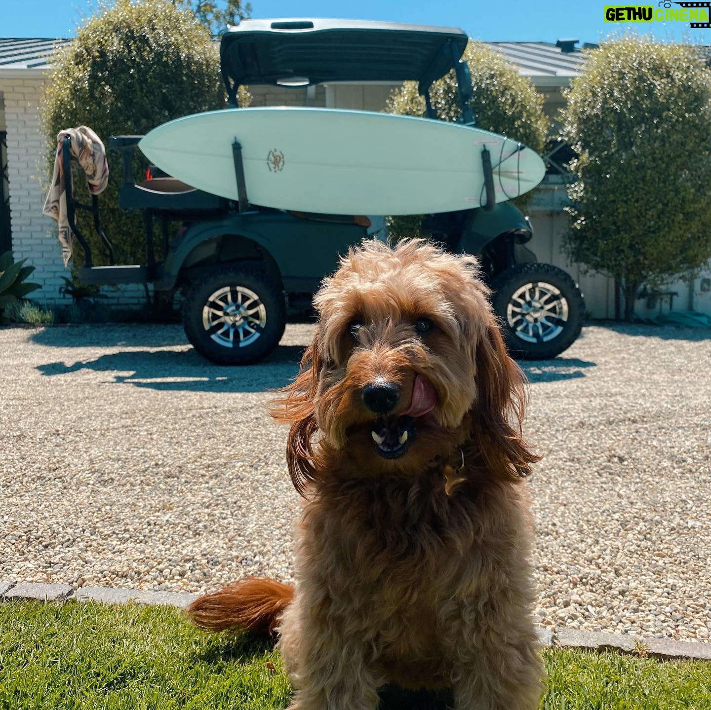 Jocelyn Hudon - 5.1K Likes - ☀️🐶🏄🏽♀️