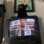 Jodelle Ferland Instagram - swipe for 🐈‍⬛