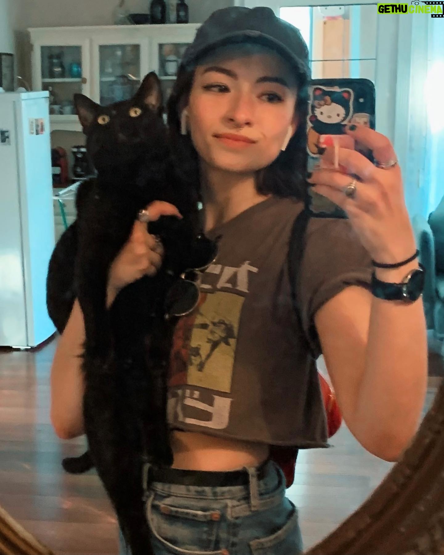 Jodelle Ferland Instagram - just once i would like a photo with my cat where he doesn’t look like an angry soot sprite