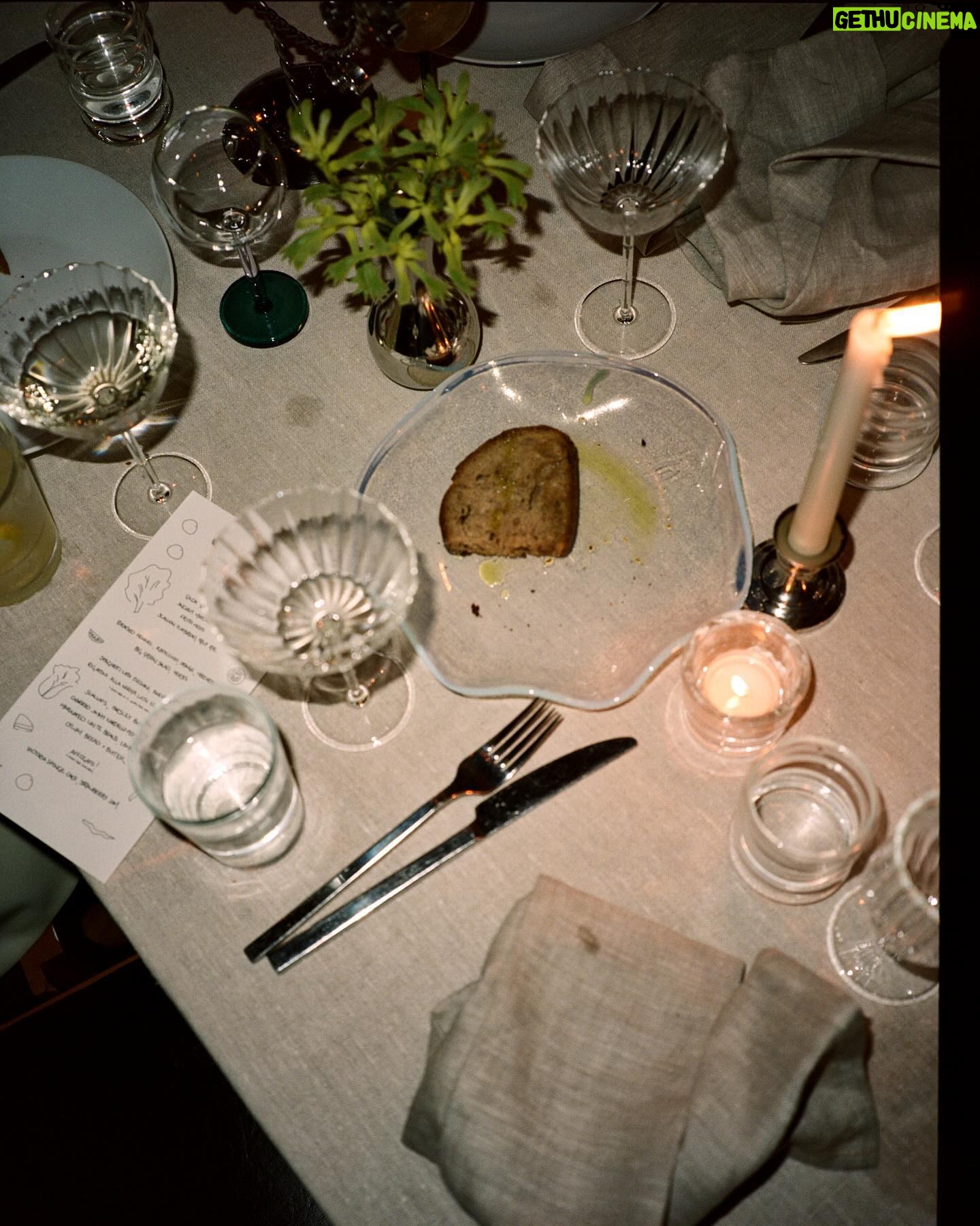 Jodi Balfour - 22.5K Likes - We got married! Thank you @cultured_mag for putting it in print! We’re suckers for it, and you. Grab an actual real life magazine to have a proper gander. But of course the link is also up there. Words by the wonderful @maraveitch and all photographs (on film) by the brillllliant @luuuuush ❣️
