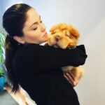 Jodi Lyn O’Keefe Instagram – I made a new friend today. @hellopillsbury She is the squishiest loveliest chompiest snuggliest kissiest bear ever.