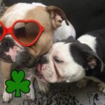 Jodi Lyn O’Keefe Instagram – Kiss me, I’m Irish #happystpatricksday