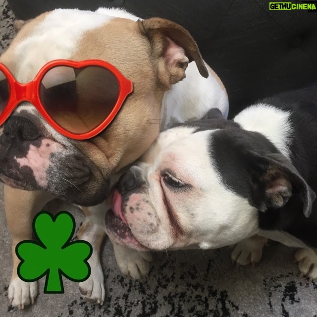 Jodi Lyn O'Keefe Instagram - Kiss me, I'm Irish #happystpatricksday