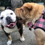 Jodi Lyn O’Keefe Instagram – #bestfriends @hellopillsbury and Vivian.  #girlsjustwannahavefun