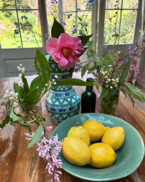 Joely Richardson Instagram - Most exquisite May morning. Wonder of the Aurora Borealis last night. Your youngest boy Tash ,now gorgeous young fella , got me out of the bath to say ‘something up in the sky’. We went onto the balcony and wonders started to abound - a magnetic force field. Your birthday - an extraordinary time of year when everything bursts forth just like you. So we re celebrating you today . We re going for a river swim, we ll cook up a feast , and Ma has picked Lillies of the Valley for the kitchen table that we ,and then our children, grew up around . 🎶 It’s May 🎶 as Ma sang in Camelot x