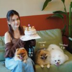 Joey Leong Instagram - arranged a little birthday gathering on my half day-off for @pomerpuffgirls to hang out with other pups 🐶 my dearest ppg, thank you for bringing so much warmth and happiness to our family all these years ♡ can’t believe my eldest Vera is already 8 this year 🥹 mama loves the 3 of you so dearly (but scroll to the end to see what we deal with daily hahh) had a blast at @lyfecafe.kl✨ what a pleasant environment with gooooood food! guess the birthday cake from @woofandmeowdelights is yummy cause @bentley_goldenlabrador had 1/4 of the entire cake but wanted more and got rejected by papa 😮‍💨 and all other mini creatures enjoyed & finished their portions too 🥹 thank you all for coming & sharing the fun @bingyu_baby_toby @thejeweldoggies @dutdut_shibainu and the sweetest hailey — bday surprise for @crystaljingg @jassfoo524 and mommy was a success too✨ off to shoot right after the mini celebration (with countless fur all over me hahaha)