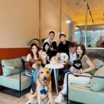 Joey Leong Instagram - arranged a little birthday gathering on my half day-off for @pomerpuffgirls to hang out with other pups 🐶 my dearest ppg, thank you for bringing so much warmth and happiness to our family all these years ♡ can’t believe my eldest Vera is already 8 this year 🥹 mama loves the 3 of you so dearly (but scroll to the end to see what we deal with daily hahh) had a blast at @lyfecafe.kl✨ what a pleasant environment with gooooood food! guess the birthday cake from @woofandmeowdelights is yummy cause @bentley_goldenlabrador had 1/4 of the entire cake but wanted more and got rejected by papa 😮‍💨 and all other mini creatures enjoyed & finished their portions too 🥹 thank you all for coming & sharing the fun @bingyu_baby_toby @thejeweldoggies @dutdut_shibainu and the sweetest hailey — bday surprise for @crystaljingg @jassfoo524 and mommy was a success too✨ off to shoot right after the mini celebration (with countless fur all over me hahaha)