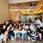 Joey Leong Instagram - arranged a little birthday gathering on my half day-off for @pomerpuffgirls to hang out with other pups 🐶 my dearest ppg, thank you for bringing so much warmth and happiness to our family all these years ♡ can’t believe my eldest Vera is already 8 this year 🥹 mama loves the 3 of you so dearly (but scroll to the end to see what we deal with daily hahh) had a blast at @lyfecafe.kl✨ what a pleasant environment with gooooood food! guess the birthday cake from @woofandmeowdelights is yummy cause @bentley_goldenlabrador had 1/4 of the entire cake but wanted more and got rejected by papa 😮‍💨 and all other mini creatures enjoyed & finished their portions too 🥹 thank you all for coming & sharing the fun @bingyu_baby_toby @thejeweldoggies @dutdut_shibainu and the sweetest hailey — bday surprise for @crystaljingg @jassfoo524 and mommy was a success too✨ off to shoot right after the mini celebration (with countless fur all over me hahaha)
