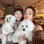 Joey Leong Instagram - arranged a little birthday gathering on my half day-off for @pomerpuffgirls to hang out with other pups 🐶 my dearest ppg, thank you for bringing so much warmth and happiness to our family all these years ♡ can’t believe my eldest Vera is already 8 this year 🥹 mama loves the 3 of you so dearly (but scroll to the end to see what we deal with daily hahh) had a blast at @lyfecafe.kl✨ what a pleasant environment with gooooood food! guess the birthday cake from @woofandmeowdelights is yummy cause @bentley_goldenlabrador had 1/4 of the entire cake but wanted more and got rejected by papa 😮‍💨 and all other mini creatures enjoyed & finished their portions too 🥹 thank you all for coming & sharing the fun @bingyu_baby_toby @thejeweldoggies @dutdut_shibainu and the sweetest hailey — bday surprise for @crystaljingg @jassfoo524 and mommy was a success too✨ off to shoot right after the mini celebration (with countless fur all over me hahaha)