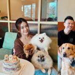 Joey Leong Instagram - arranged a little birthday gathering on my half day-off for @pomerpuffgirls to hang out with other pups 🐶 my dearest ppg, thank you for bringing so much warmth and happiness to our family all these years ♡ can’t believe my eldest Vera is already 8 this year 🥹 mama loves the 3 of you so dearly (but scroll to the end to see what we deal with daily hahh) had a blast at @lyfecafe.kl✨ what a pleasant environment with gooooood food! guess the birthday cake from @woofandmeowdelights is yummy cause @bentley_goldenlabrador had 1/4 of the entire cake but wanted more and got rejected by papa 😮‍💨 and all other mini creatures enjoyed & finished their portions too 🥹 thank you all for coming & sharing the fun @bingyu_baby_toby @thejeweldoggies @dutdut_shibainu and the sweetest hailey — bday surprise for @crystaljingg @jassfoo524 and mommy was a success too✨ off to shoot right after the mini celebration (with countless fur all over me hahaha)