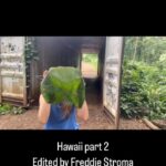 Johanna Braddy Instagram - Hawaii part 2 by Freddie Stroma . . . . #hawaii #oahu #honolulu #travel #traveltheworld #travelblogger #adventure #love