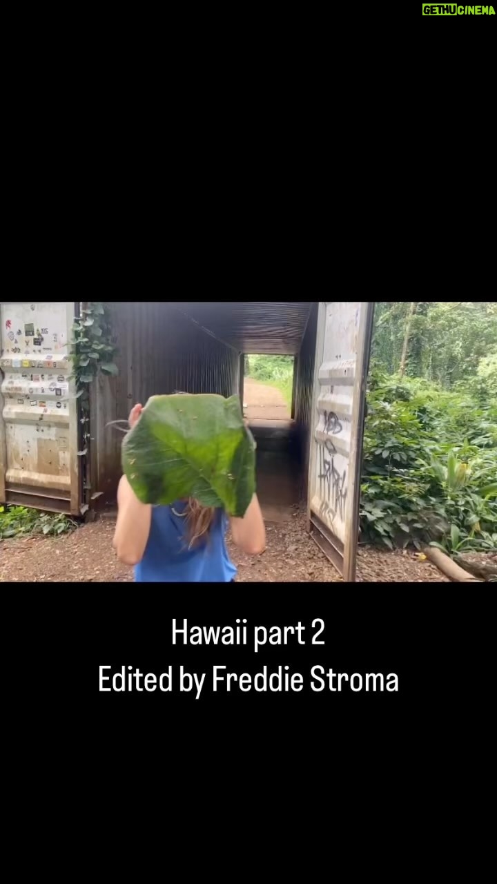 Johanna Braddy Instagram - Hawaii part 2 by Freddie Stroma . . . . #hawaii #oahu #honolulu #travel #traveltheworld #travelblogger #adventure #love