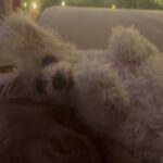 Johanna Braddy Instagram -