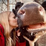 Johanna Braddy Instagram - Another dreamy weekend at @hiddenacresanimalsanctuary !! I wish I could live there! Spending time with animals who have been rescued and know they will be safe for the rest of their days is such a special experience ♥️ . . : . . . . #animalsanctuary #rescue #adoptsontshop #vegan #love #travel #farm #cows #cow #pig #pigs #pigsofinstagram