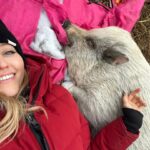 Johanna Braddy Instagram - Another dreamy weekend at @hiddenacresanimalsanctuary !! I wish I could live there! Spending time with animals who have been rescued and know they will be safe for the rest of their days is such a special experience ♥️ . . : . . . . #animalsanctuary #rescue #adoptsontshop #vegan #love #travel #farm #cows #cow #pig #pigs #pigsofinstagram