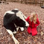 Johanna Braddy Instagram - Another dreamy weekend at @hiddenacresanimalsanctuary !! I wish I could live there! Spending time with animals who have been rescued and know they will be safe for the rest of their days is such a special experience ♥️ . . : . . . . #animalsanctuary #rescue #adoptsontshop #vegan #love #travel #farm #cows #cow #pig #pigs #pigsofinstagram
