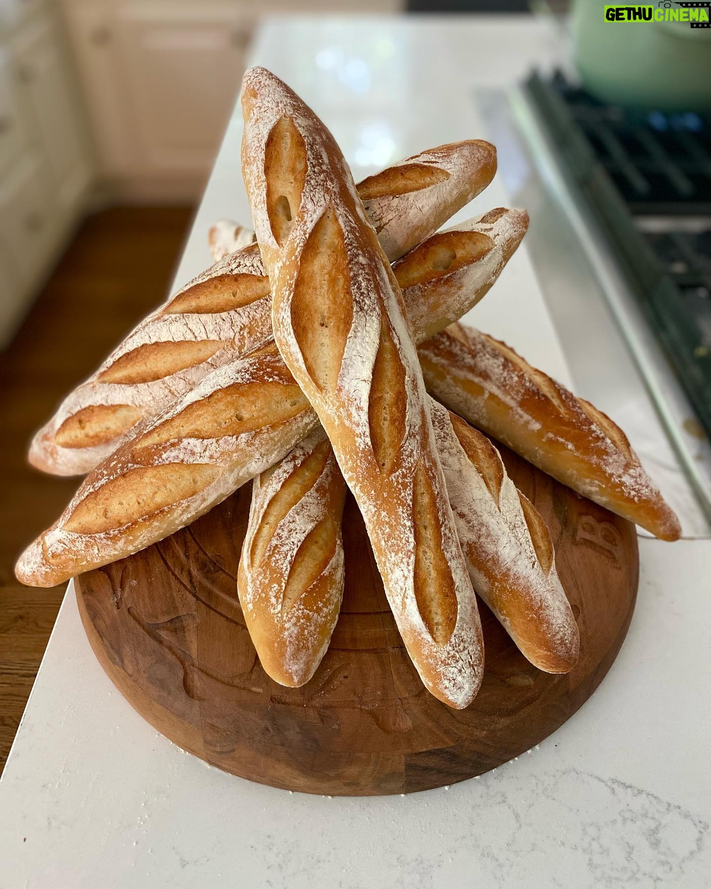 Johanna Braddy Instagram - ➡️ for 🥖 🐶 . . . . #bread #breadmaking #bichonfrise #travel