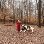 Johanna Braddy Instagram - Another dreamy weekend at @hiddenacresanimalsanctuary !! I wish I could live there! Spending time with animals who have been rescued and know they will be safe for the rest of their days is such a special experience ♥️ . . : . . . . #animalsanctuary #rescue #adoptsontshop #vegan #love #travel #farm #cows #cow #pig #pigs #pigsofinstagram