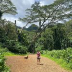 Johanna Braddy Instagram - We may or may not be surrounded by dinosaurs. . . . . . . #hawaii #hike #travel #travelphotography #hawaiilife #jurassicpark