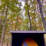 Johanna Braddy Instagram - 🏕️🍂🔥⛰️🐈🐈‍⬛ . . . . . #camping #adventure #hike #catsofinstagram #fall #autumnvibes #autumn