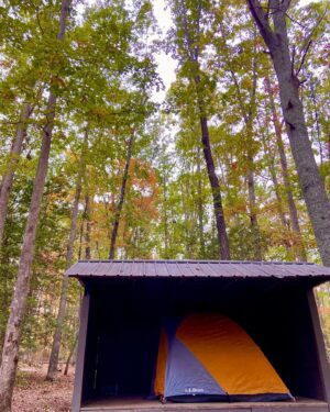 Johanna Braddy Instagram - 🏕️🍂🔥⛰️🐈🐈‍⬛
.
.
.
.
.
#camping #adventure #hike #catsofinstagram #fall #autumnvibes #autumn