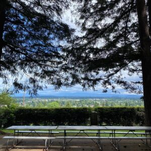 Johnny Sequoyah Instagram - different days different parks