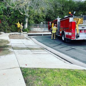 Jolie Jenkins Instagram - Well. Today this HERO noticed a small brush fire next to our house(!) and told mom and dad, who immediately called 911. The ballers from @losangelesfiredepartment came to finish putting it out, since (other hero) @dmpags had strung multiple hoses together to spray it til they arrived. 🔥😳😩🙏🏻😅🚒 #holysmokes #hero #hugolove #sendwine