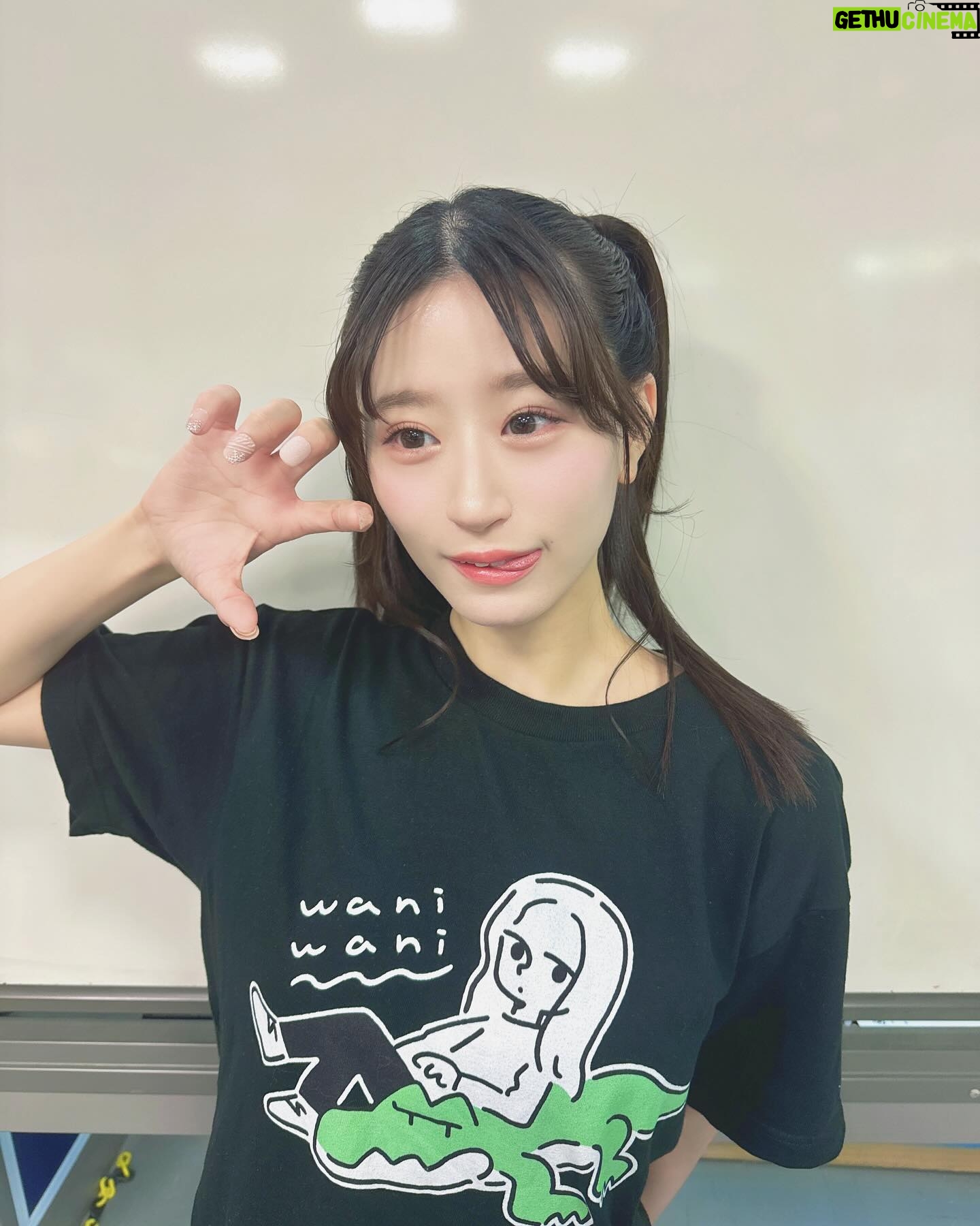 Jonishi Rei Instagram - ⠀ ワニワニ🐊 ⠀ ⠀ ⠀ ⠀ #上西恵 × #ヴィレッジヴァンガード #コラボ #Tシャツ #グッズ #上西姉妹