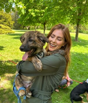 Jordan Claire Robbins Instagram - I spent my dream afternoon in the park falling madly in love with these sweet souls at the @fetch_and_releash event in Toronto. Each one had their own unique and loveable personality and they are all available for adoption!! If you live in or around Toronto and are ready to welcome a beautiful new best friend into your home, please visit the @fetch_and_releash page for more information about each dog and instructions on how to apply for adoption ❤️🐾 #adopt #dogsofinstagram #fetchandreleash #toronto