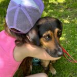 Jordan Claire Robbins Instagram – I spent my dream afternoon in the park falling madly in love with these sweet souls at the @fetch_and_releash event in Toronto. Each one had their own unique and loveable personality and they are all available for adoption!! If you live in or around Toronto and are ready to welcome a beautiful new best friend into your home, please visit the @fetch_and_releash page for more information about each dog and instructions on how to apply for adoption ❤️🐾 #adopt #dogsofinstagram #fetchandreleash #toronto