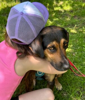 Jordan Claire Robbins Instagram - I spent my dream afternoon in the park falling madly in love with these sweet souls at the @fetch_and_releash event in Toronto. Each one had their own unique and loveable personality and they are all available for adoption!! If you live in or around Toronto and are ready to welcome a beautiful new best friend into your home, please visit the @fetch_and_releash page for more information about each dog and instructions on how to apply for adoption ❤️🐾 #adopt #dogsofinstagram #fetchandreleash #toronto