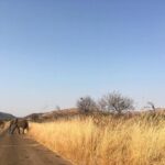 Jordan Clark Instagram – A day in South Africa 🇿🇦