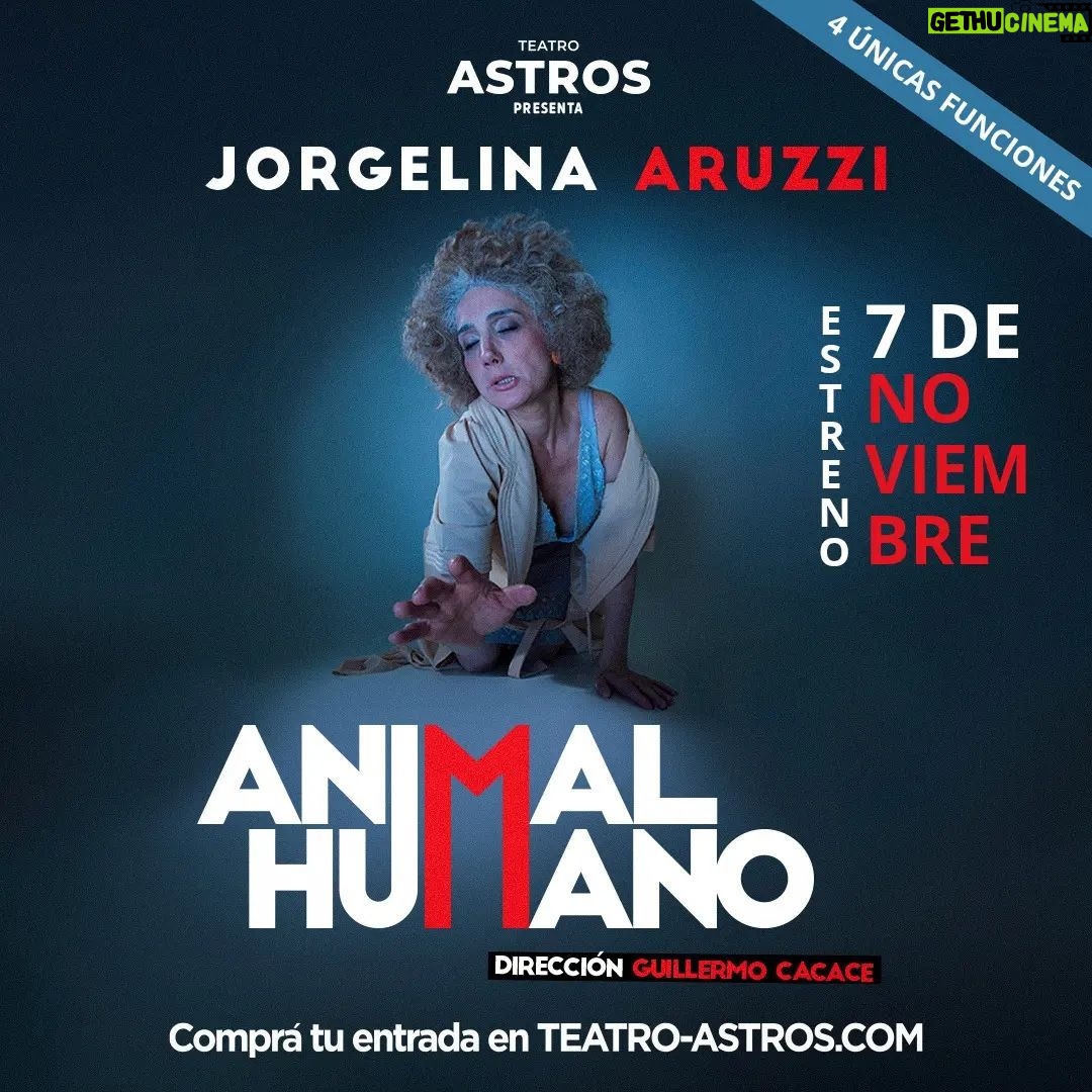 Jorgelina Aruzzi Instagram - #animalhumano ! 4 Únicas FUNCIONES ! NOVIEMBRE @teatroastrosok @guillermo_cacace @amidaquintana @andreastivel