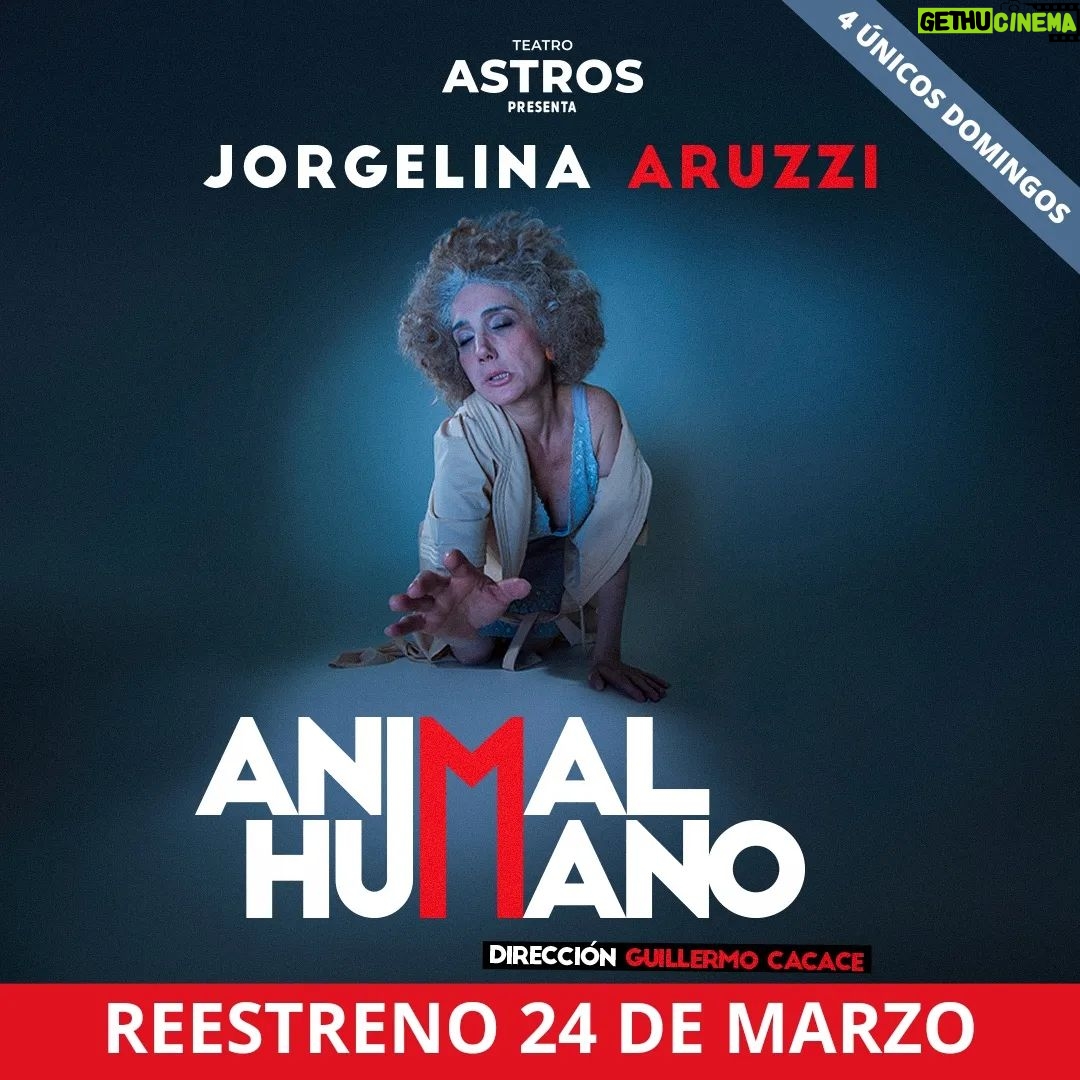 Jorgelina Aruzzi Instagram - 💎 REESTRENO: ANIMAL HUMANO 💎 Vuelve @aruzzireal con #AnimalHumano Una obra basada en una historia real !! Te lo vas a perder? 📅 REESTRENO: 24 de Marzo 4 ÚNICOS DOMINGOS !!! 📍 Teatro Astros. Av. Corrientes 746 🎟️ Conseguí tus entradas en teatro-astros.com o en la boletería del teatro. Una obra de: @aruzzireal y @guillermo_cacace Dirección: @guillermo_cacace Producción: @amidaquintana #Teatro #TeatroAstros #TeatroArgentino #JorgelinaAruzzi #Humor #CalleCorrientes