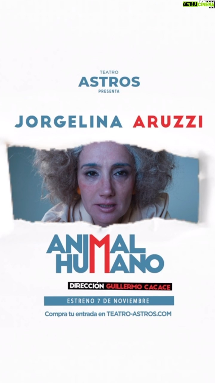 Jorgelina Aruzzi Instagram - 💎 JORGELINA ARUZZI en #AnimalHumano 💎 Qué pasaría en tu vida si sos el blanco de todos los prejuicios del barrio? @aruzzireal pone en juego toda su potencia actoral para encarnar a esa mujer en ANIMAL HUMANO. 📅 ESTRENO 7 DE NOVIEMBRE 📅 Noviembre: Martes, 20.30hs. 📍 Teatro Astros. Av. Corrientes 746 🎟️ Conseguí tus entradas en teatro-astros.com o en la boletería del teatro. Una obra de: @aruzzireal y @guillermo_cacace Dirección: @guillermo_cacace Producción: @amidaquintana #Teatro #TeatroAstros #TeatroArgentino #JorgelinaAruzzi #AnimalHumano #Humor #CalleCorrientes