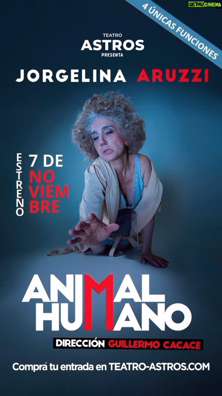 Jorgelina Aruzzi Instagram - 💎 La nueva creación de Aruzzi-Cacace: ANIMAL HUMANO 💎 Aprovechá los ÚLTIMOS DÍAS DE PREVENTA para venir a ver a JORGELINA ARUZZI en #AnimalHumano 🎟️ PREVENTA HASTA EL 22/10 🎟️ 📅 ESTRENO 7 DE NOVIEMBRE 📅 Noviembre: Martes, 20.30hs. 📍 Teatro Astros. Av. Corrientes 746 🎟️ Conseguí tus entradas en teatro-astros.com o en la boletería del teatro. Una obra de: @aruzzireal y @guillermo_cacace Dirección: @guillermo_cacace Producción: @amidaquintana #Teatro #TeatroAstros #TeatroArgentino #JorgelinaAruzzi #AnimalHumano #Humor #CalleCorrientes