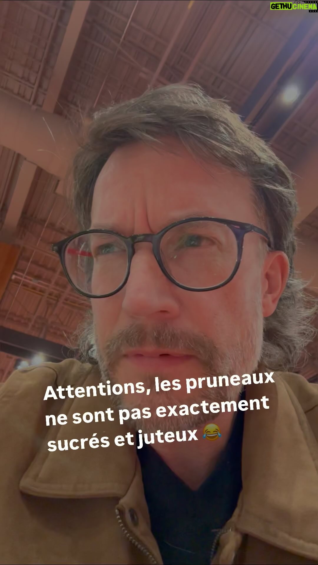 Josée Boudreault - 518 Likes - Attentions, les pruneaux ne sont pas exactement sucrés et juteux 😂