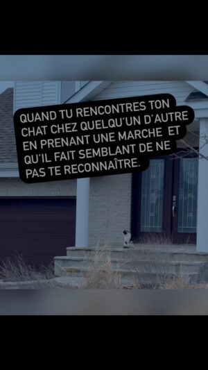 Josée Boudreault Instagram - La tournée Sois ta prochaine amie se continue!
Prochaines dates :
Beloeil 
Chateauguay
Acton Vale
Shawinigan
St-Jean-Sur-Richelieu
Lévis
Drummondville et…
Thetford !

 À bientôt !