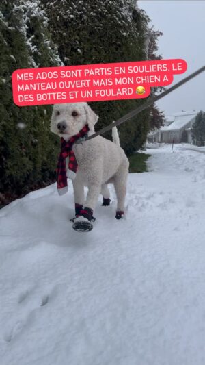 Josée Boudreault Instagram - 