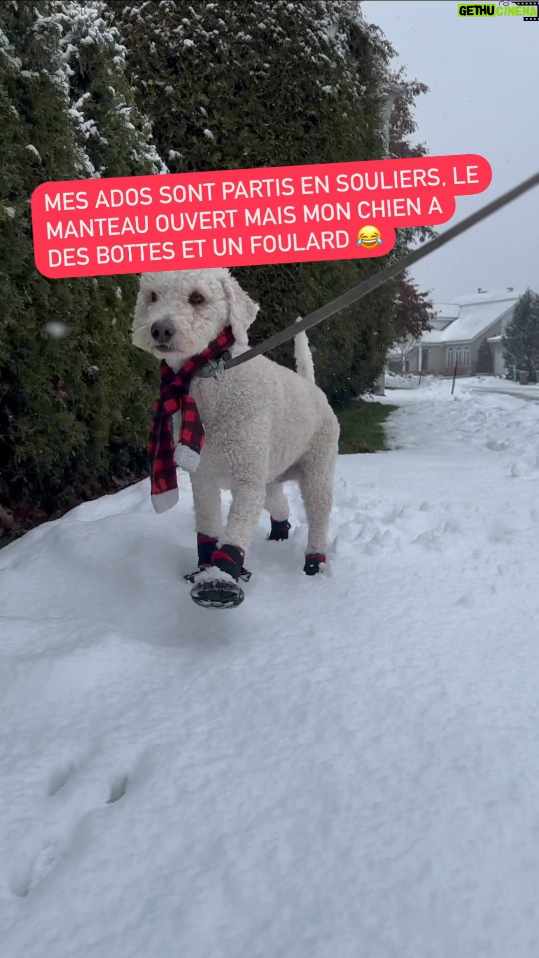 Josée Boudreault - 517 Likes -