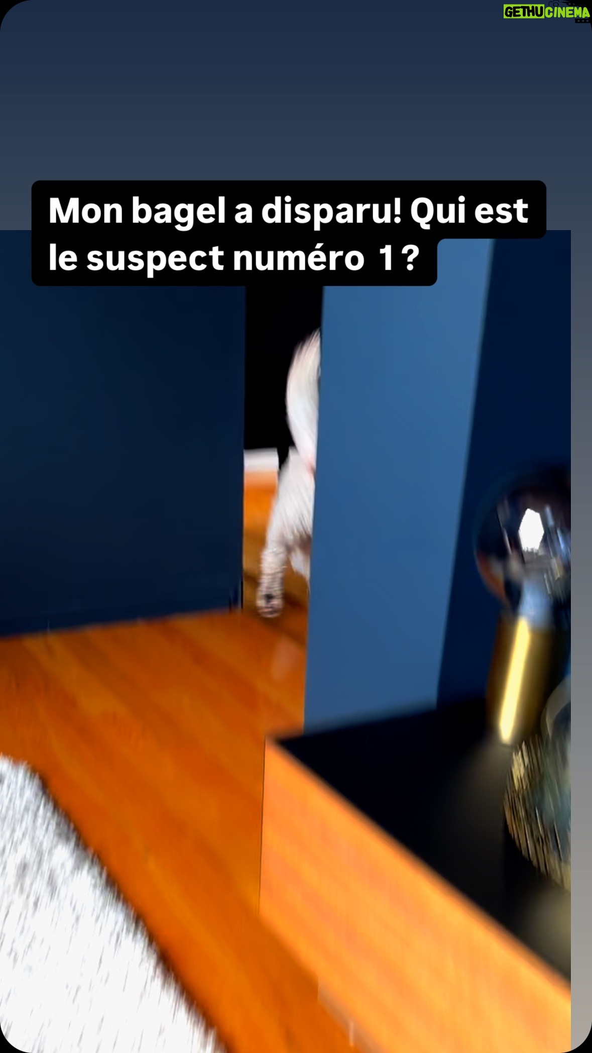 Josée Boudreault - 437 Likes -