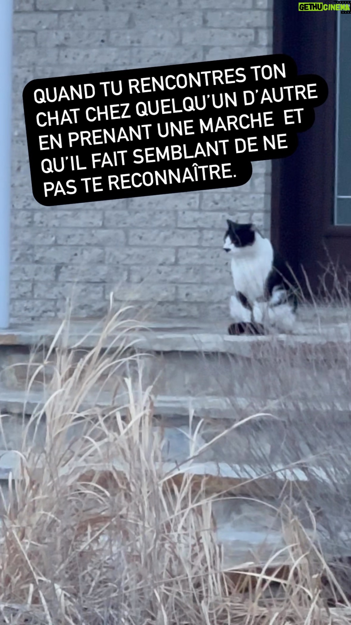Most liked Instagram photo of Josée Boudreault