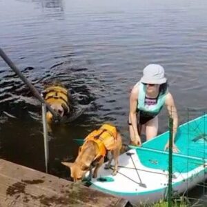 Josefine Preuß Instagram - Hitze-Sommerferien bei Ömi..
Just pawfect!
#wirbraucheniceicebaby