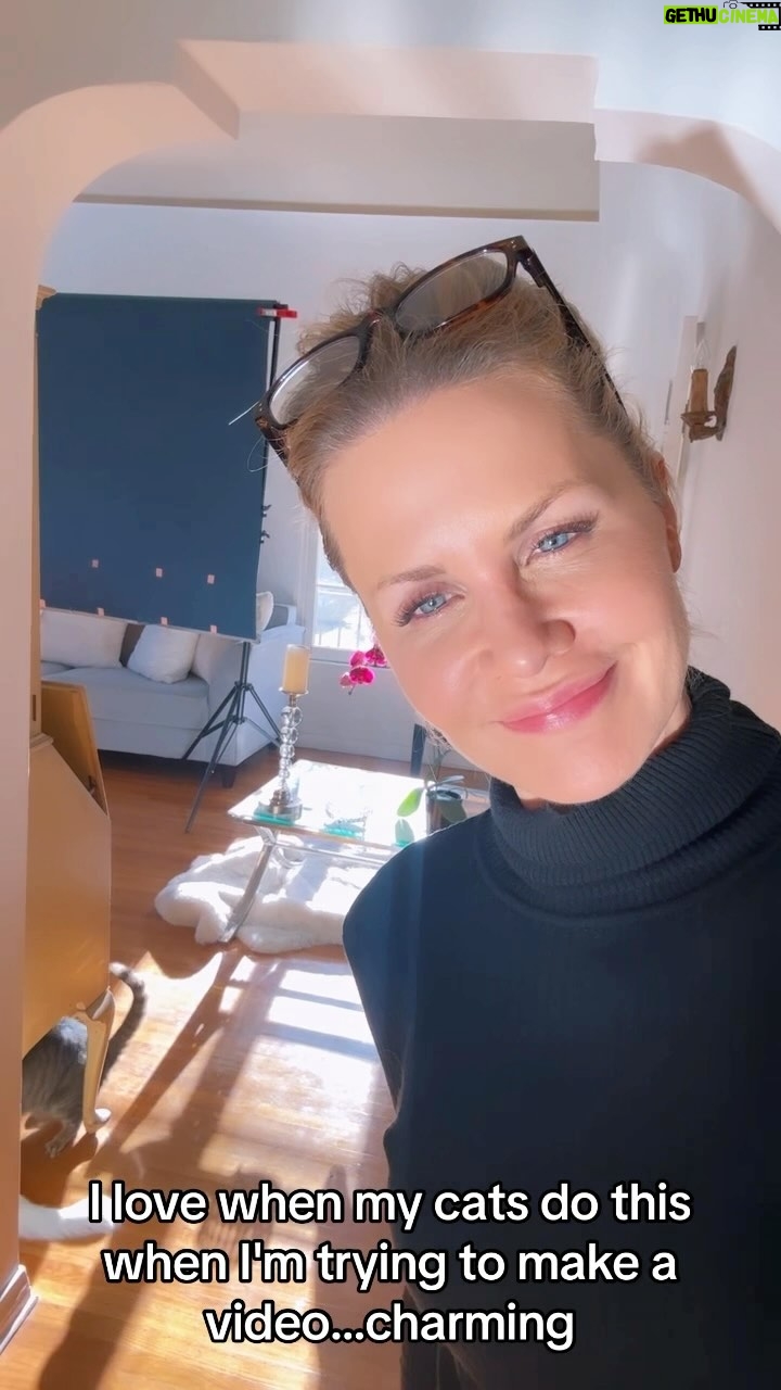 Josie Davis - 3 Likes - CATS PLAYING DURING VIDEO DOESNT HELP ME!!!! 😂😆🤣
#cats #catsoftiktok #catsofinstagram #catsplaying #catshiss #cat #cutecats #funny #funny ats #funnycatvideo