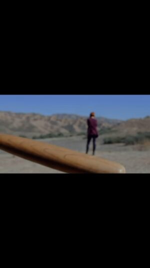 Josie Davis Instagram - Guess what psychopath is holding this baseball bat about to whack that lady in the background?
it’s the movie that got me interested in real estate.
check it out on @tubi etc…
#backstabbed #realtor #realestate