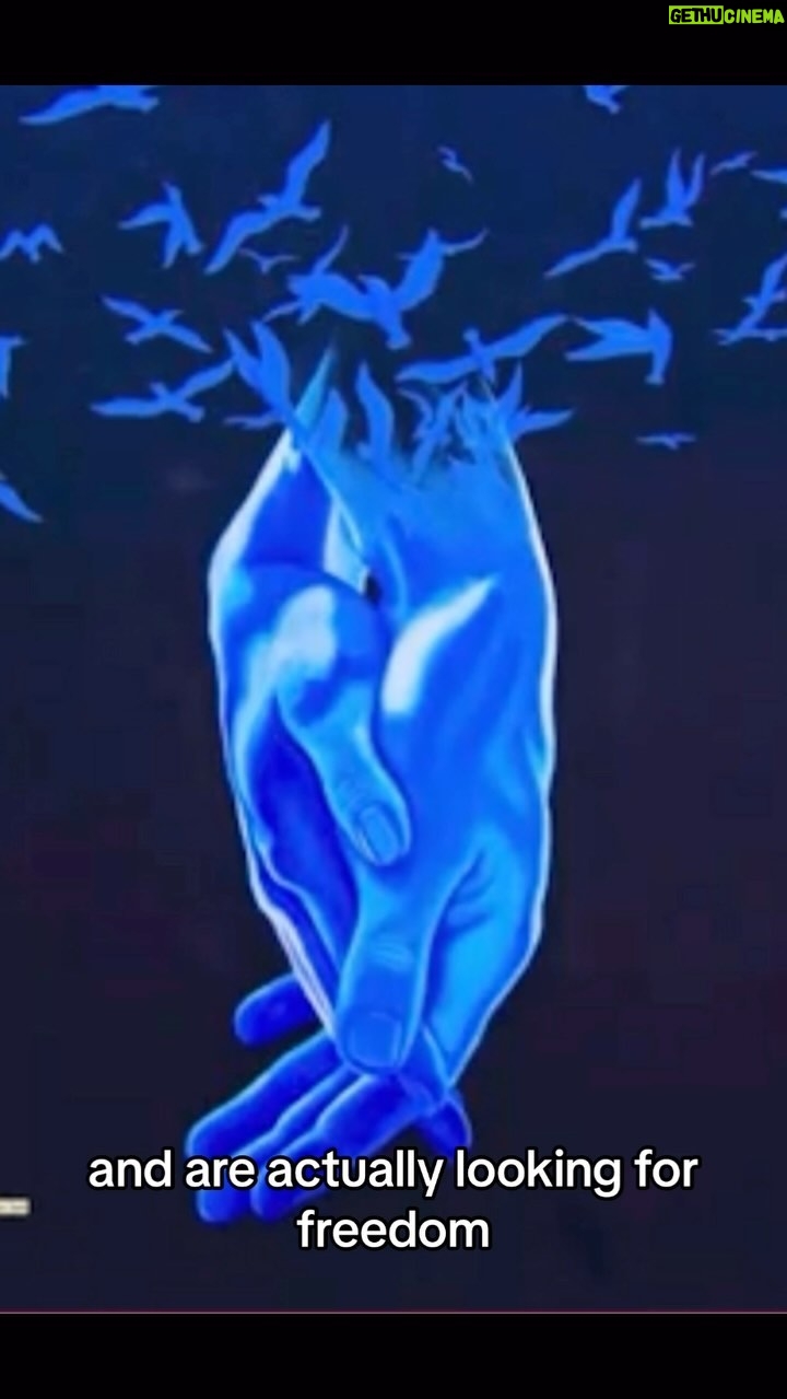 Josie Davis - 3 Likes - ⭐️NEWEST EPISODE!! 🖼️
🖼️ ARTIST - RAGS TO RICHES STORY
Brilliant artist, Shlomo Tuvia, @shlomotuviaart born in Israel, to two deaf-mute parents, scraped his way as a 7 year-old, creating success as he grew. His brilliant art is @ShlomoTuviaart. 🖼️
Top👚@Shopgigimoda
Body Makeup : @westmorebeauty
#ShlomoTuvia #Art #Artist#RagsToRiches #Pink #Camisole #Success #Survived #Poor #Survivor #TV #Funny #Paintings #LAArtShow #Italy #WestHollywood #Laughter #Jeans #israel #israeli #MakeUp #BodyMakeUp #Tan #Jeans #Bronzer #JosieDavis #Skin #Podcast #Fun #Funny #FunnyPodcast