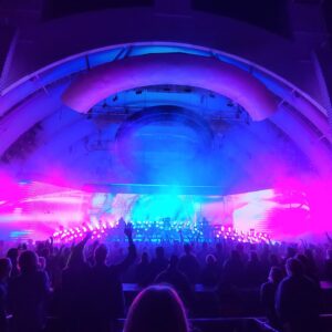 Joy Bryant Instagram - Me and @kiwilovesyou at #TameImpala at #HollywoodBowl last week. 

Somehow I forgot to post these pics...